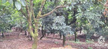 Single Story for sale in Cajon, Pérez Zeledón, San José, Costa Rica — photo 15