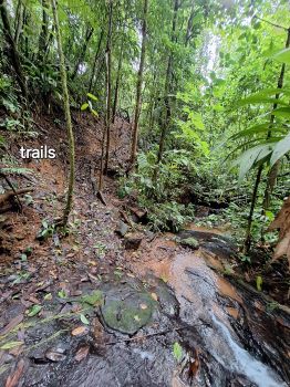Casa dos Plantas en venta en Serenity Mountain, Pérez Zeledón, San José, Costa Rica — foto 9