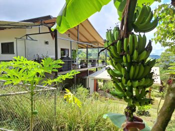 Casa dos Plantas en venta en Serenity Mountain, Pérez Zeledón, San José, Costa Rica — foto 18