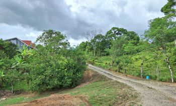 Hacienda en venta en San Vito, Coto Brus, Puntarenas, Costa Rica — foto 16
