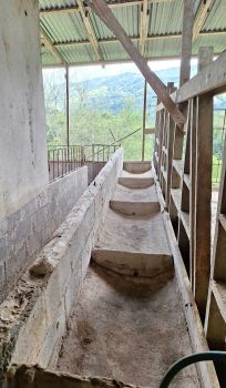 Hacienda en venta en San Vito, Coto Brus, Puntarenas, Costa Rica — foto 25