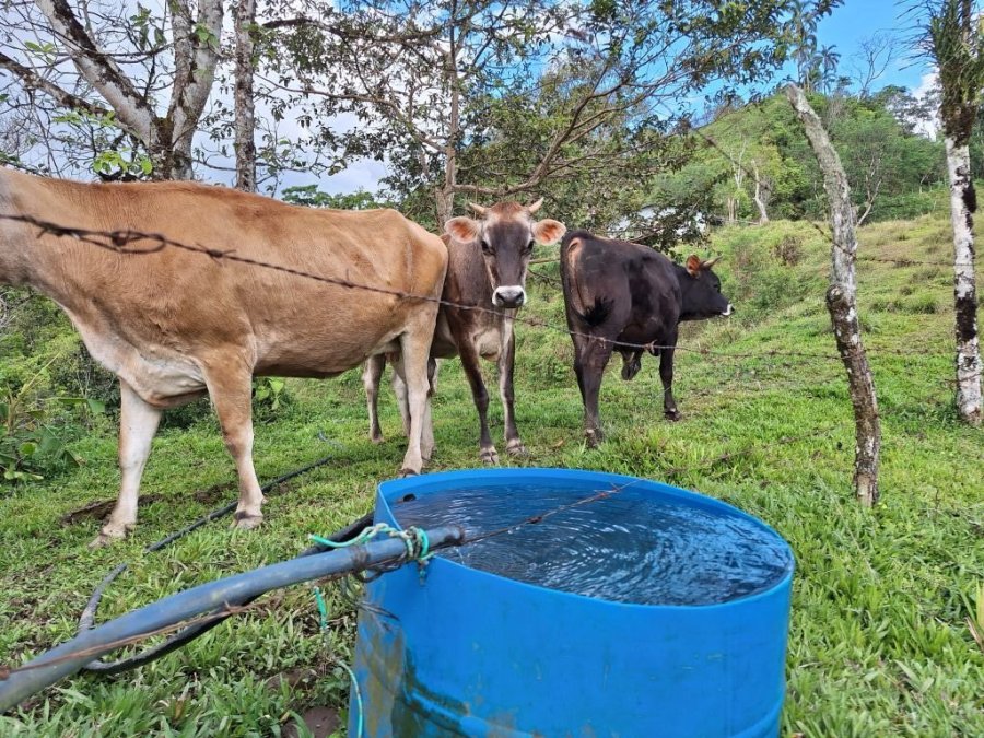 Hacienda en venta en San Vito, Coto Brus, Puntarenas, Costa Rica — foto 15