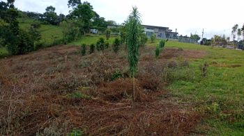 Terreno General en venta en Ceniza, Pérez Zeledón, San José, Costa Rica — foto 2