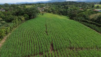Mixed Use Land for sale in Cajón, Pérez Zeledón, San José, Costa Rica — photo 2