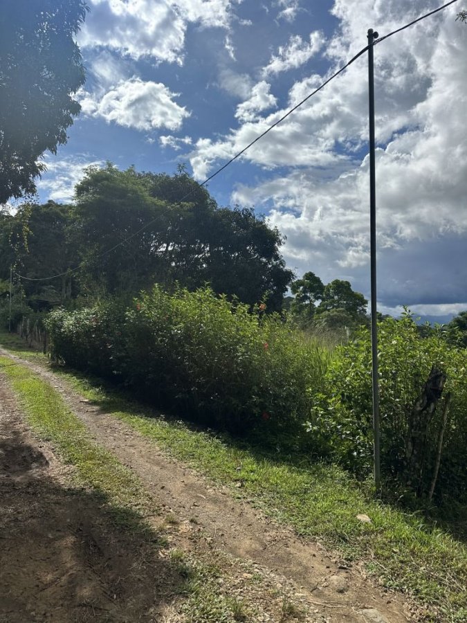 Terreno Para Vivienda en venta en Quebrada Honda, Pérez Zeledón, San José, Costa Rica — foto 2