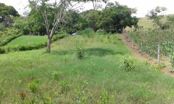 Terreno Para Vivienda en venta en Quebrada Honda, Pérez Zeledón, San José, Costa Rica — foto 6