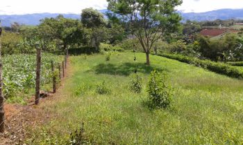Terreno Para Vivienda en venta en Quebrada Honda, Pérez Zeledón, San José, Costa Rica — foto 7