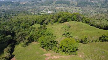Finca Para Agricultura, Clima Fresco, Quebrada, Y Frutales