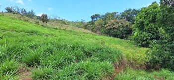Villa for sale in El Roble de Perez Zeledon, Pérez Zeledón, San José, Costa Rica — photo 14