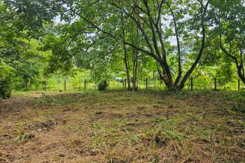 Raw Land for sale in Playa Sombrero - OsaPen, Golfito, Puntarenas, Costa Rica — photo 4