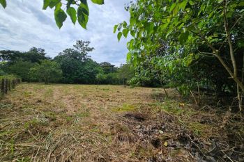Raw Land for sale in Playa Sombrero - OsaPen, Golfito, Puntarenas, Costa Rica — photo 5