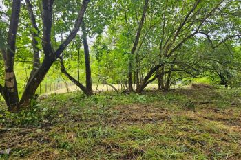 Raw Land for sale in Playa Sombrero - OsaPen, Golfito, Puntarenas, Costa Rica — photo 7