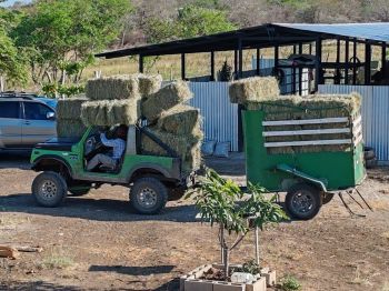 Finca para Ganadería en venta en Tamarindo, Bagaces, Guanacaste, Costa Rica — foto 1