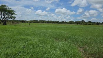 Finca para Ganadería en venta en Tamarindo, Bagaces, Guanacaste, Costa Rica — foto 4