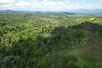 Fincas Uso Mixto en venta en Sierpe - OsaPen, Osa, Puntarenas, Costa Rica — foto 2