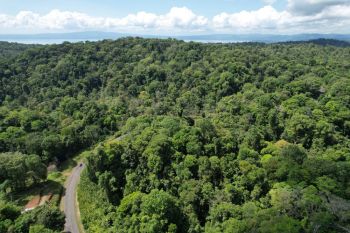 Fincas Uso Mixto en venta en Sierpe - OsaPen, Osa, Puntarenas, Costa Rica — foto 3