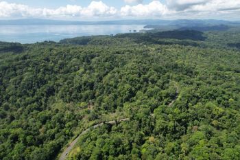 Fincas Uso Mixto en venta en Sierpe - OsaPen, Osa, Puntarenas, Costa Rica — foto 5