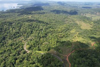 Fincas Uso Mixto en venta en Sierpe - OsaPen, Osa, Puntarenas, Costa Rica — foto 6