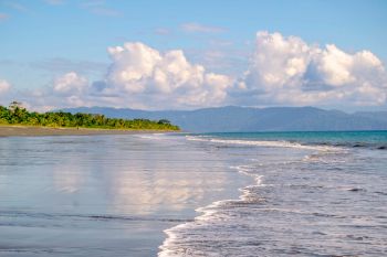 Fincas Uso Mixto en venta en Puerto Jiménez - OsaPen, Golfito, Puntarenas, Costa Rica — foto 3