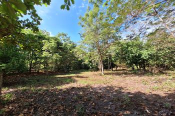 Fincas Uso Mixto en venta en Puerto Jiménez - OsaPen, Golfito, Puntarenas, Costa Rica — foto 6