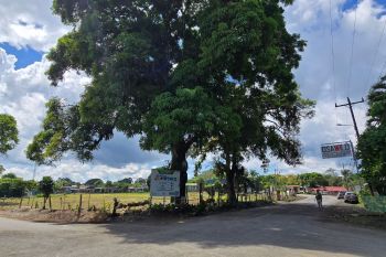 Lote Comercial en Puerto Jiménez