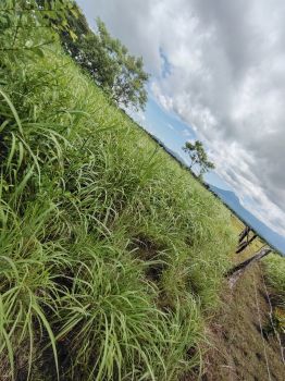 Finca para Ganadería en venta en cuajiniquil, La Cruz, Guanacaste, Costa Rica — foto 2