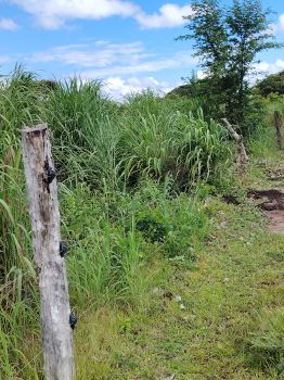 Finca para Ganadería en venta en cuajiniquil, La Cruz, Guanacaste, Costa Rica — foto 3