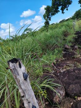 Finca para Ganadería en venta en cuajiniquil, La Cruz, Guanacaste, Costa Rica — foto 6