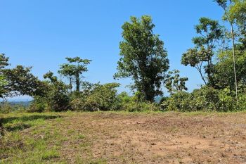 Residential Lot for sale in Puerto Cortes, Osa, Puntarenas, Costa Rica — photo 3