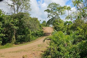 Residential Lot for sale in Puerto Cortes, Osa, Puntarenas, Costa Rica — photo 4