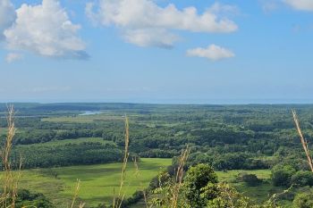 Residential Lot for sale in Puerto Cortes, Osa, Puntarenas, Costa Rica — photo 1
