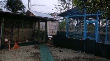Cabaña en venta o alquiler en Rivas, Pérez Zeledón, San José, Costa Rica — foto 3