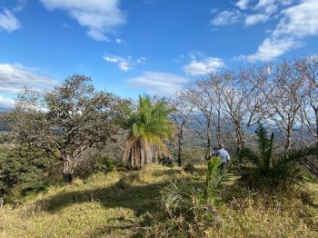 Terreno para Desarrollo en venta en Concepción de Atenas, Atenas, Alajuela, Costa Rica — foto 3