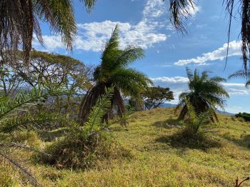 Terreno para Desarrollo en venta en Concepción de Atenas, Atenas, Alajuela, Costa Rica — foto 6