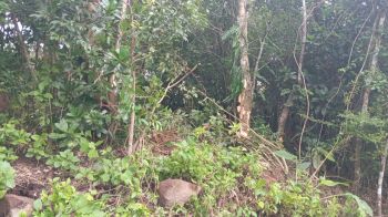 Residential Lot for sale in Tajo Alto de Miramar, Montes de Oro, Puntarenas, Costa Rica — photo 3