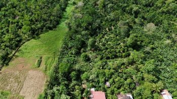 Mixed Use Land for sale in Pueblo Nuevo, Cajon, Pérez Zeledón, San José, Costa Rica — photo 2