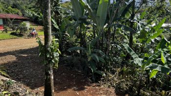Mixed Use Land for sale in Pueblo Nuevo, Cajon, Pérez Zeledón, San José, Costa Rica — photo 3