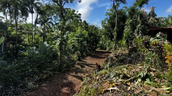 Mixed Use Land for sale in Pueblo Nuevo, Cajon, Pérez Zeledón, San José, Costa Rica — photo 4