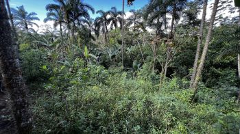 Mixed Use Land for sale in Pueblo Nuevo, Cajon, Pérez Zeledón, San José, Costa Rica — photo 5