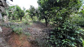 Mixed Use Land for sale in Pueblo Nuevo, Cajon, Pérez Zeledón, San José, Costa Rica — photo 6