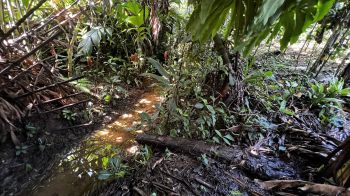 Mixed Use Land for sale in Pueblo Nuevo, Cajon, Pérez Zeledón, San José, Costa Rica — photo 9