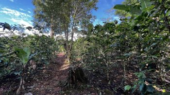 Mixed Use Land for sale in Pueblo Nuevo, Cajon, Pérez Zeledón, San José, Costa Rica — photo 10