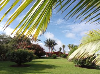 Casa una Planta en venta en Barrio Orotina-San Vito, Coto Brus, Puntarenas, Costa Rica — foto 6