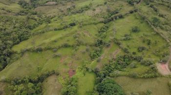 En Venta: 3.8 Hectáreas en Pérez Zeledón Con Quebrada, Árboles Frutales y Vistas