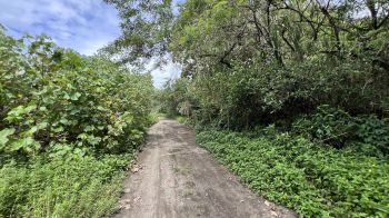 Fincas Uso Mixto en venta en Matapalo, Quepos, Puntarenas, Costa Rica — foto 4