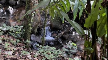 Terreno Para Vivienda en venta en La Linda, General Viejo, Pérez Zeledón, San José, Costa Rica — foto 6