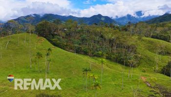 Terreno General en venta en MiraFlores, Perez Zeledon, Pérez Zeledón, San José, Costa Rica — foto 4