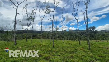 Terreno General en venta en MiraFlores, Perez Zeledon, Pérez Zeledón, San José, Costa Rica — foto 5
