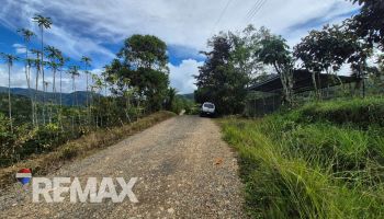 Terreno General en venta en MiraFlores, Perez Zeledon, Pérez Zeledón, San José, Costa Rica — foto 6