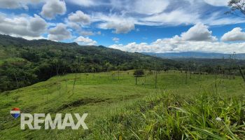 Terreno General en venta en MiraFlores, Perez Zeledon, Pérez Zeledón, San José, Costa Rica — foto 7